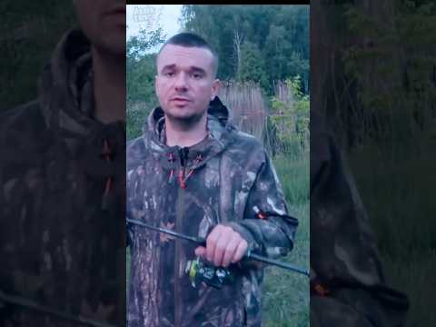 КОГДА ЛУЧШЕ ЛОВИТЬ?  #assistancetv #рыбалка #fishing