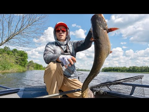 Відкриття післянерестового сезона! Рибалка на хижака!