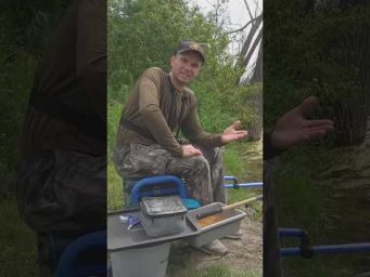 ФИДЕР Провоцируем на поклёвку  #рыбалка #AssistanceTV #фидер #fishing  #нафидер #карась #лещ #плотва