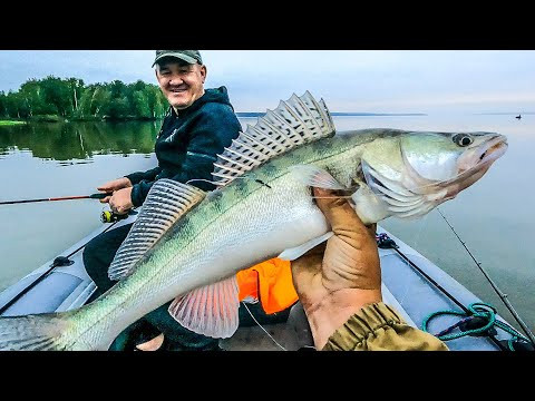 Короткая ступенька! Ловл судака на джиг!