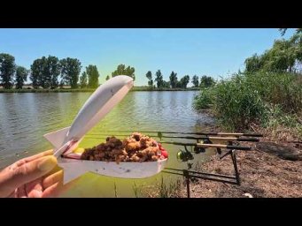 Молотая кукуруза приманила амура,  рыбалка на флэт фидер