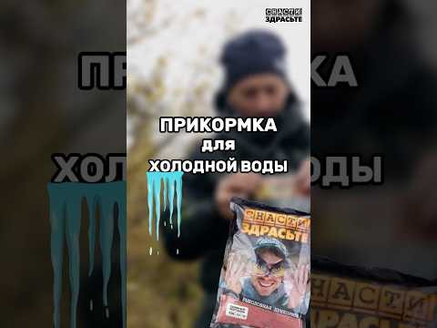 Какая прикормка работает в холодной воде? Рассказываем! Подробнее в новом выпуске #снастиздрасьте
