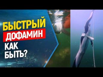 Быстрый дофамин, переизбыток информации и фридайвинг...