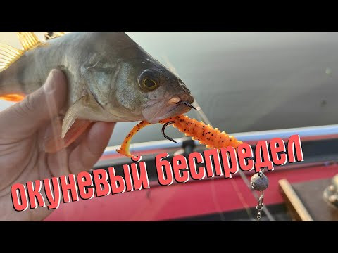 НЕОЖИДАННЫЕ АТАКИ! ЛЕТНЯЯ РЫБАЛКА НА ОКУНЯ С ЛОДКИ НЕОЖИДАННЫЕ АТАКИ! ЛЕТНЯЯ РЫБАЛКА НА ОКУНЯ С ЛОДКИ