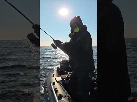 Думав спінінга ламать #рибалка  #fishing #спінінг