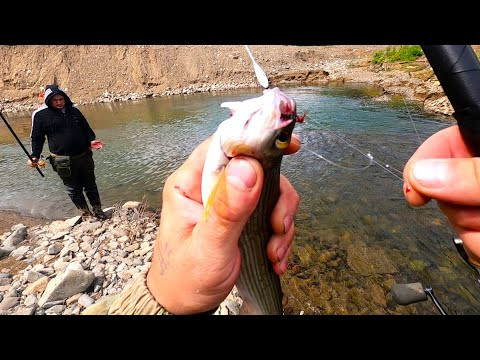 Рыбалка на Хариуса/ТАЕЖНАЯ Авантюра/Есть УЛОВ.