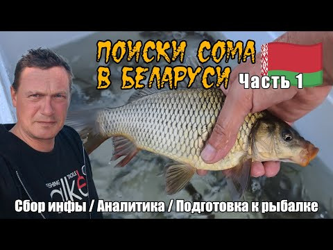 Поиски сома в Беларуси. Часть 1: Подготовка к рыбалке &ndash; Ловим живца, собираем снасти. #сом