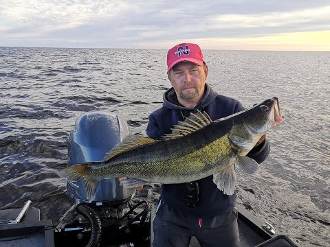 Утро на Рыбинском водохранилище . Ловим судаков . Утро на Рыбинском водохранилище . Ловим судаков .