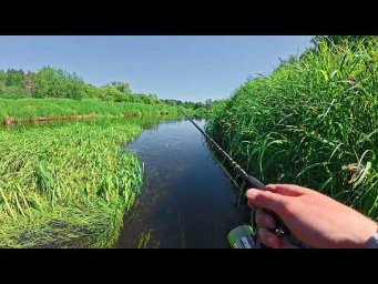 ПОБИЛ РЕКОРД ТРИЖДЫ НА РЕЧКЕ ЧУТЬ ГЛУБЖЕ РУЧЬЯ. Поппер рулит! Рыбалка. Спиннинг. Лето
