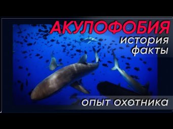 Феномен акулофобии. История. Факты. Рекомендации подводного охотника.
