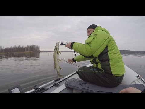 Щучки на 8 марта - Отчёт с рыбалки
