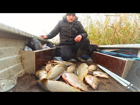 ВОТ ЭТО РЫБАЛКА! ПОЛНАЯ ЛОДКА ОГРОМНЫХ КАРАСЕЙ, САЗАНОВ. Рыбалка на сазана и огромного карася. ВОТ ЭТО РЫБАЛКА! ПОЛНАЯ ЛОДКА ОГРОМНЫХ КАРАСЕЙ, САЗАНОВ. Рыбалка на сазана и огромного карася.