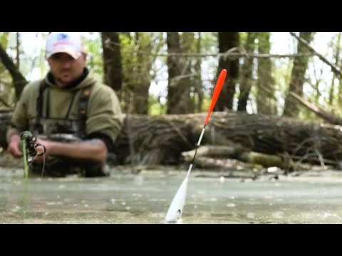 Ловлю на ДИКОМУ ЛІСНОМУ ОЗЕРІ