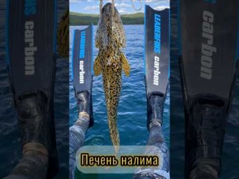 Этот деликатес знают единицы 