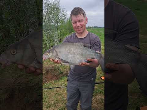 НАКОНЕЦ ТО, ПОЙМАЛИ придётся задержаться на рыбалке #fishing #рыбалка #лещ #shorts #carpfishing НАКОНЕЦ ТО, ПОЙМАЛИ придётся задержаться на рыбалке #fishing #рыбалка #лещ #shorts #carpfishing