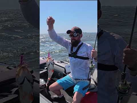 окунь любить рака #fishing #рибалка #fish окунь любить рака #fishing #рибалка #fish