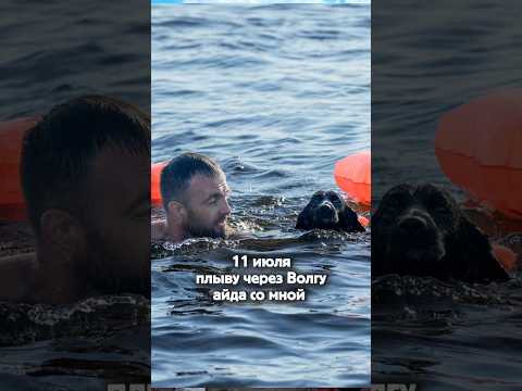 11 июля плыву через Волгу! Кто со мной? 11 июля плыву через Волгу! Кто со мной?