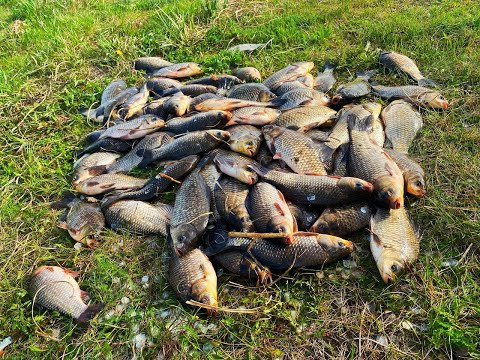 ЗАКИНУЛИ АРБУЗЫ В ВОДУ И ТУТ НАЧАЛОСЬ! рыбалка с ночевкой