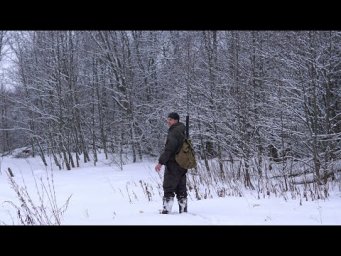По насту за глухарем. Охота с ночевкой.