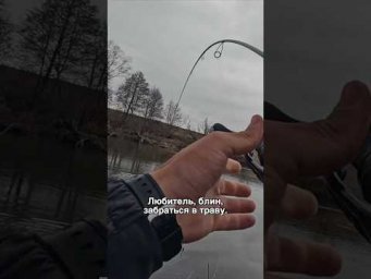 Стабильность &ndash; признак не только мастерства, но и правильно подобранной приманки!