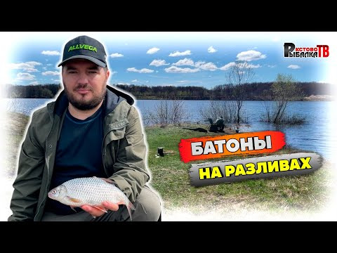 Ловля плотвы на фидер в притоке реки Волга. Ловля плотвы на фидер в притоке реки Волга.