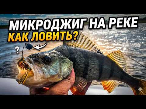 МИКРОДЖИГ НА РЕКЕ. КАК ЛОВИТЬ? ТЕРМОС PENGUIN ДЯДИ ВАЛИ. РЫБАЛКА НА СПИННИНГ МИКРОДЖИГ НА РЕКЕ. КАК ЛОВИТЬ? ТЕРМОС PENGUIN ДЯДИ ВАЛИ. РЫБАЛКА НА СПИННИНГ