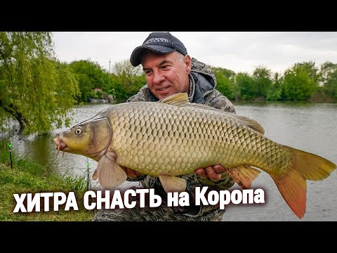 ЛОВЛЯ КОРОПА на ХИТРУ СНАСТЬ!!!