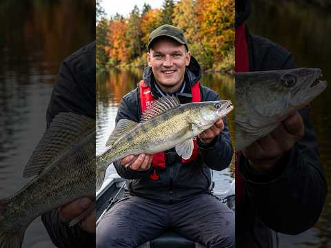 ПРО РЫБАЛКУ С НОЧЕВКОЙ коротко часть 1 #fishing #судак #automobile #рыбалканаозере #рыбалка ПРО РЫБАЛКУ С НОЧЕВКОЙ коротко часть 1 #fishing #судак #automobile #рыбалканаозере #рыбалка