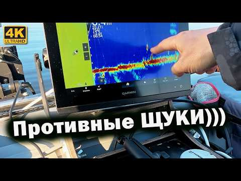 Livescope нашел рыбу! Почему щука не клюет? Livescope нашел рыбу! Почему щука не клюет?