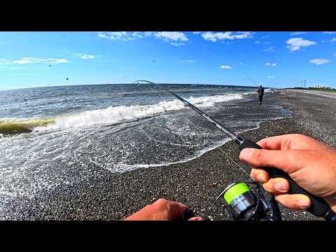 КАМЧАТКА. ОХОТСКОЕ МОРЕ. ПРОСТАЯ БЕРЕГОВАЯ РЫБАЛКА, а сколько эмоций!
