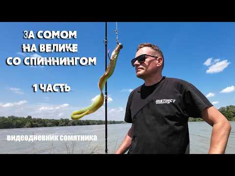 ЗА СОМОМ на ВЕЛИКЕ | Со спиннингом за сомом в наводнение 1 часть | видеодневник сомятника