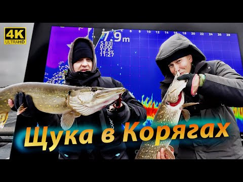 Ловля ЩУКИ в КОРЯГАХ - Как её от туда выманить и поймать