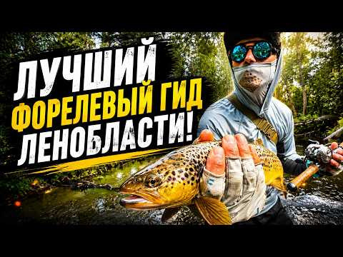 Гидую по форели! Спиннинг против нахлыста