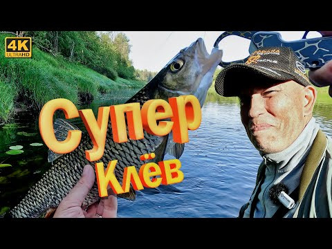 Супер клёв ГОЛАВЛЯ. Я это ждал 20 рыбалок