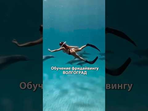 Обучение фридайвингу Волгоград #фридайвинг #фридайвингволгоград #обучениефридайвингу #волгоград