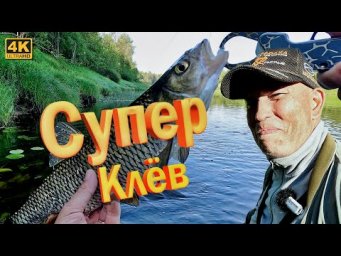 Супер клёв ГОЛАВЛЯ. Я это ждал 20 рыбалок