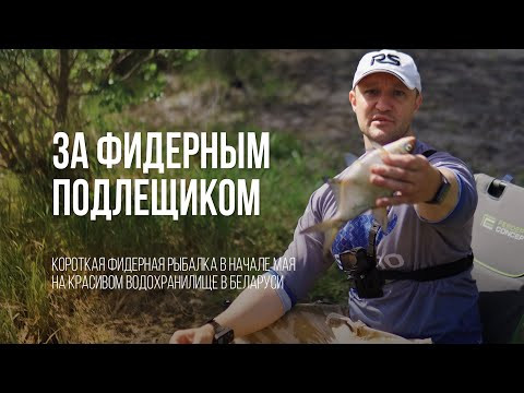 Фидерная рыбалка в мае: ловля подлещика после работы