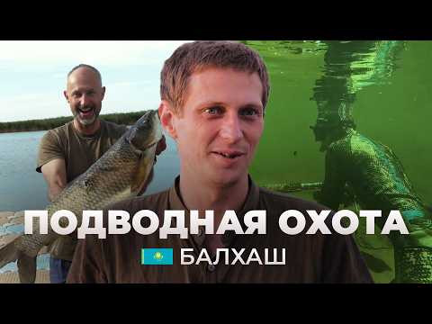 Приключения подвохов в Казахстане: НЕРЕАЛЬНЫЙ прозрак, змееголовы и завораживающие виды Приключения подвохов в Казахстане: НЕРЕАЛЬНЫЙ прозрак, змееголовы и завораживающие виды