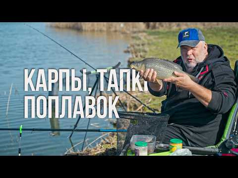 Карп на поплавок в апреле: 50 кг за день — болонка, тапки и правильная прикормка Карп на поплавок в апреле: 50 кг за день — болонка, тапки и правильная прикормка
