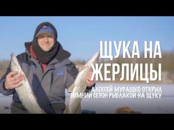 Как поймать щуку зимой: жерлицы, поклевки, вываживание и секреты ловли