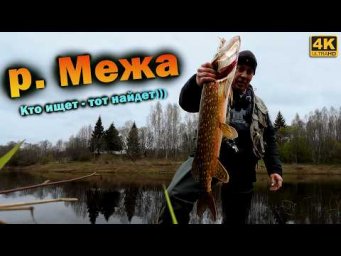 Поездка на РЕЧКУ МЕЖА | Что клюёт на большие приманки?