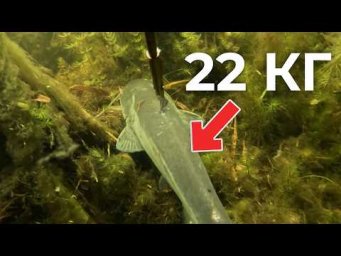 Как это возможно?! БОЛЬШАЯ УДАЧА в первую минуту подводной охоты