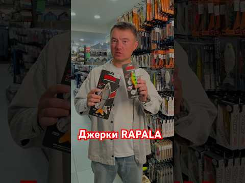 photo photo