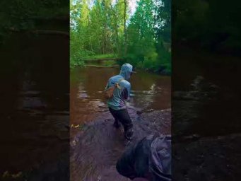 форель Ленинградской области #форель #trout #troutfishing  #трудоваярыбалка #shorts