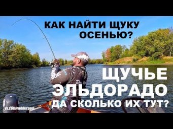 Щучье Эльдорадо! Как найти Щуку Осенью? Спиннинг на Реке. Джиг из под Бели.