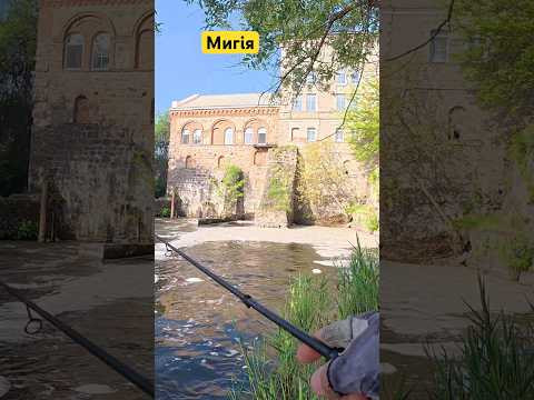 #Мигія #fishing