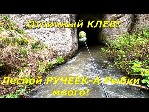 Супер КЛЕВ! - РЫБАЛКА на ЛЕСНОМ Ручье/Проверил ХАРИУСА,начал брать.