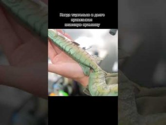 Да что вы знаете об обидных ситуациях) #снастиздрасьте