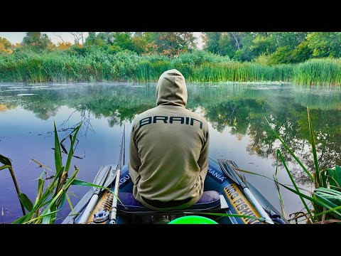 Нічний ПОПЛАВОК! Це ПРОСТО НЕЙМОВІРНА КРАСА!!! Нічний ПОПЛАВОК! Це ПРОСТО НЕЙМОВІРНА КРАСА!!!
