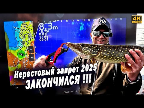 Начало трофейных рыбалок. Нерестовый запрет 2025 закончился